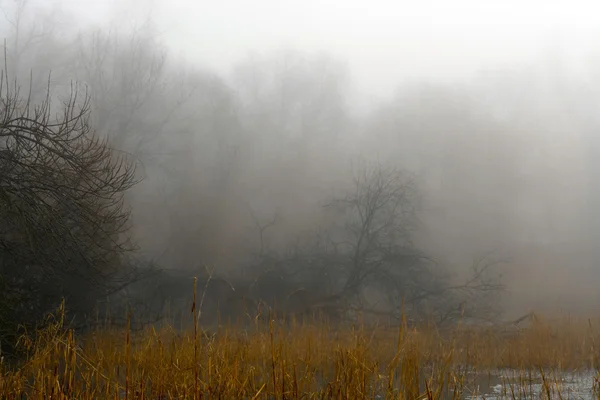 Winternebel in Ungarn — Stockfoto