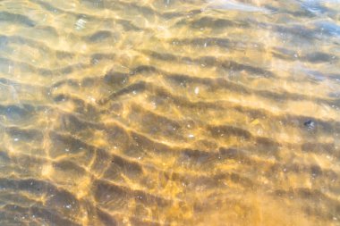 Akdeniz sahillerinde, suyun altında kum tepeleri.