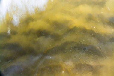 Akdeniz sahillerinde, suyun altında kum tepeleri.