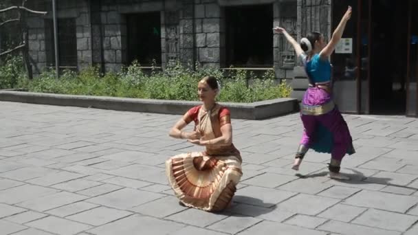 Apresentação de dança indiana no Zoológico de Szeged Hungria — Vídeo de Stock