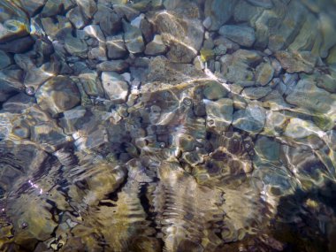 Adriyatik Denizi sahilindeki suyun altında taşlar