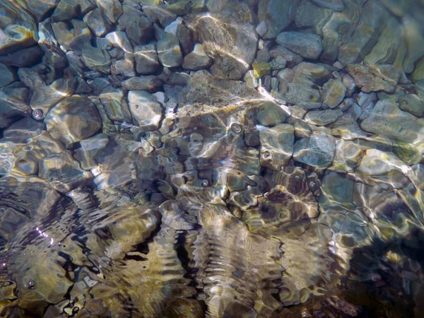 Adriyatik Denizi sahilindeki suyun altında taşlar