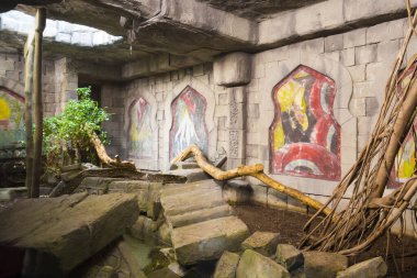 EMEN, NEtherlands - 20 EYLÜL. 2017: Vahşi Topraklar 'da orman tasarımı, Emmen hayvanat bahçesi