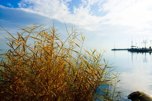 Praia Balatonkenese Lago Balaton Hungria Outono — Fotografia de Stock