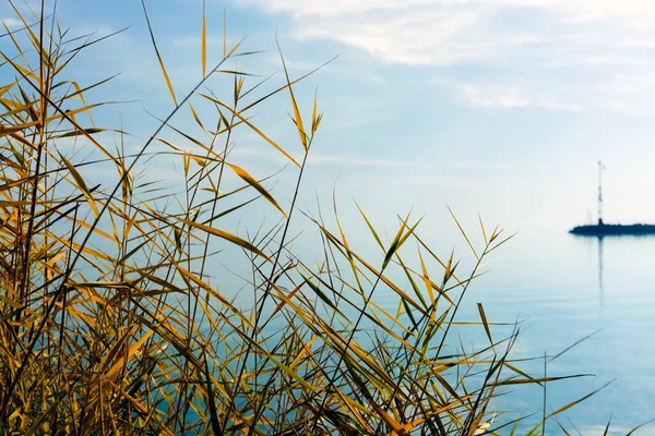 Пляж Балатонкенезе Балатоне Венгрия Осенью — стоковое фото