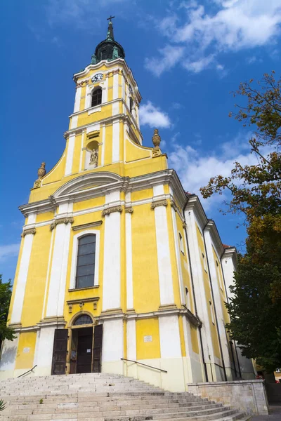 Macaristan Szekszard Kentindeki King Bela Caddesindeki Katolik Kilisesi — Stok fotoğraf