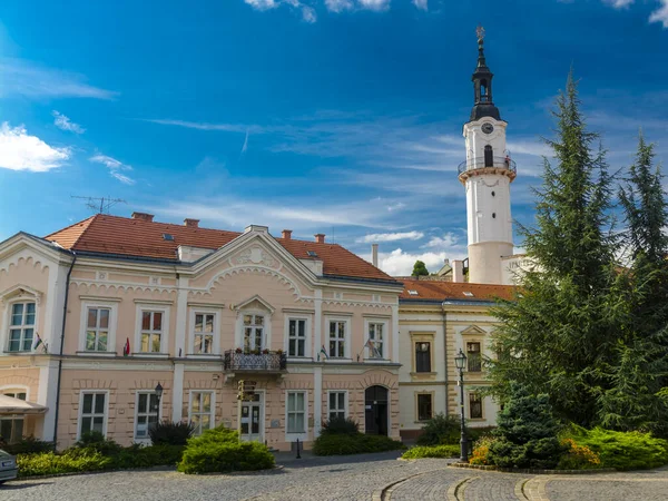 Tour de garde-feu dans la vieille ville de Veszprem — Photo