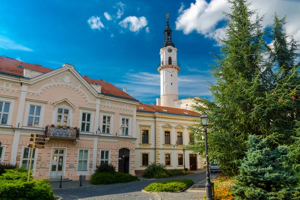 Tűzoltó torony Veszprém óvárosában — Stock Fotó