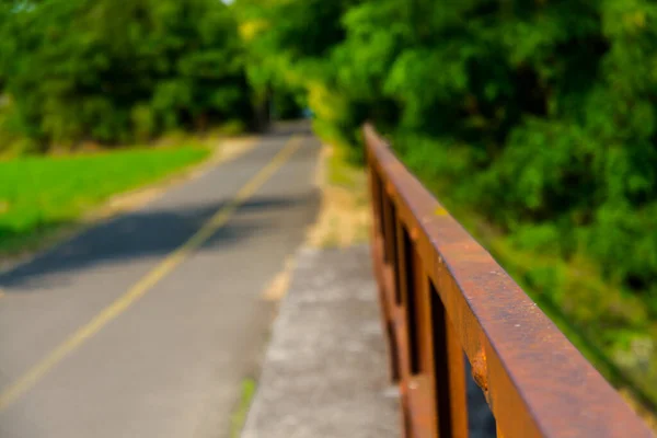 Corrimão Ferro Enferrujado Longo Estrada Bicicleta Uma Floresta — Fotografia de Stock