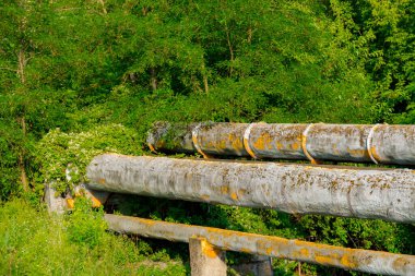 Macaristan 'ın Mohacs kentindeki Csele deresinin üzerindeki paslı boru hattı.