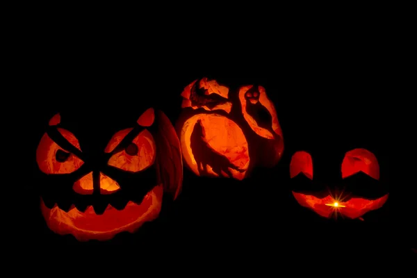 Carved Halloween pumpkins — Stock Photo, Image