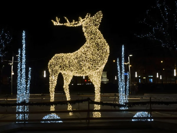 Natal em Szeged — Fotografia de Stock
