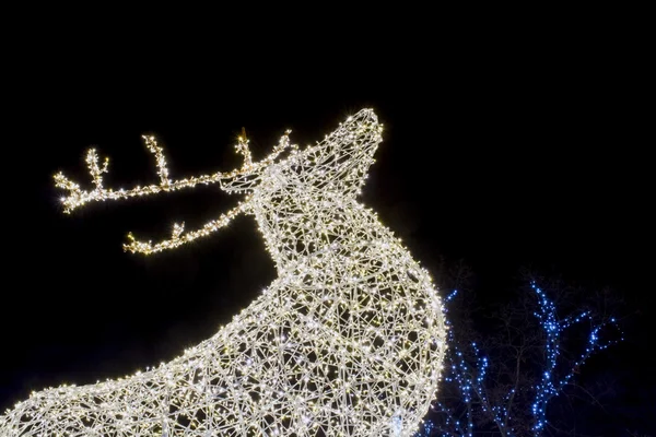 Navidad en Szeged — Foto de Stock