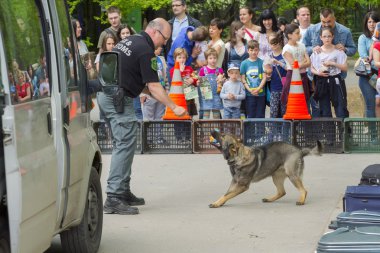 Sniffer köpek gösterisi