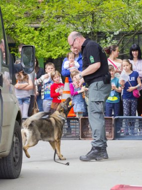 Sniffer köpek gösterisi