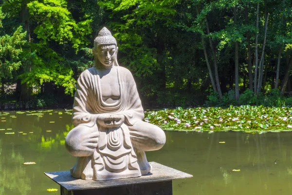 Buddha und der Lotussee — Stockfoto