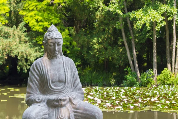 Buda y el lago de loto —  Fotos de Stock