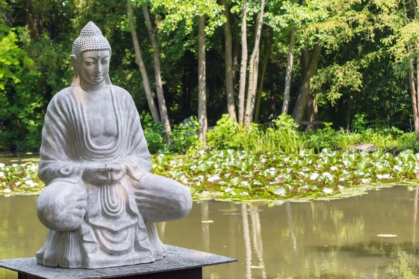 Buddha und der Lotussee — Stockfoto