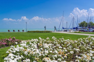 Bağlantı noktası Balatonfured