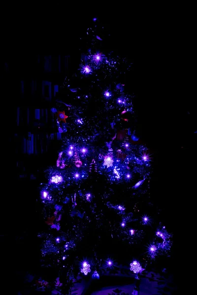 अंधेरे में क्रिसमस पेड़ — स्टॉक फ़ोटो, इमेज