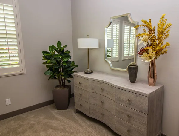 Muebles Del Dormitorio Incluyendo Dresser Espejo Planta Pared — Foto de Stock