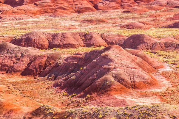 Eroded Red Hills Arizona Festett Sivatag — Stock Fotó