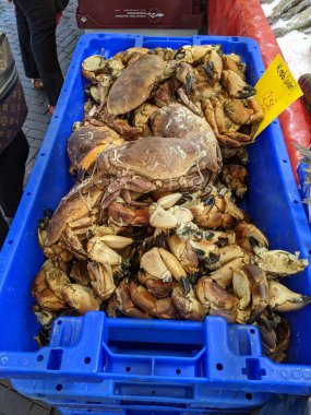 Piyasadaki yengeçler. Bazı yengeçler şehir pazarında satılıyor..