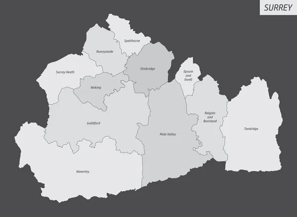 Condado Surrey Mapa Aislado Dividido Distritos Con Etiquetas Inglaterra — Vector de stock