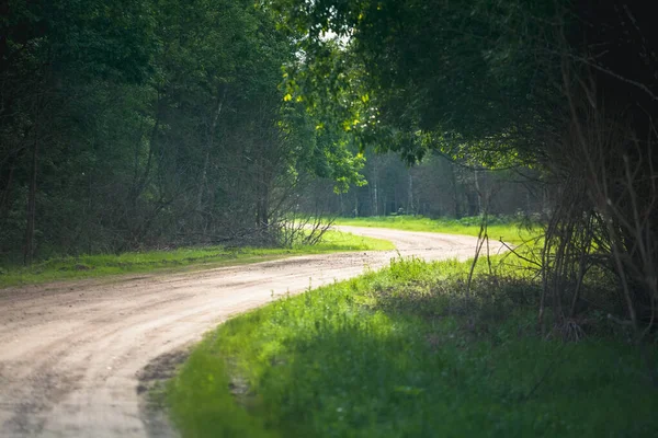 Smutsväg Över Skogen Ryska Landsbygden Nära Ruza Moskva Region Ryssland — Stockfoto