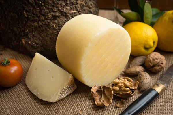 Shape of Pecorino cheese — Stock Photo, Image