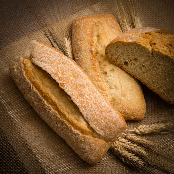 Freshly baked italian bread — Stock Photo, Image