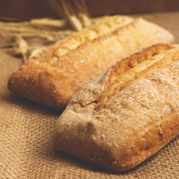 Pane italiano appena sfornato — Foto Stock