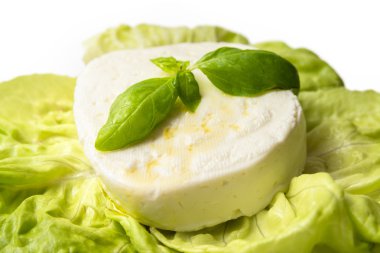 Primo Satılık peynir