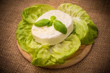 Primo Satılık peynir