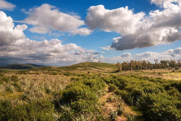 Sardenha Paisagem Rural Trexenta Perto Cidade Cagliari — Fotografia de Stock