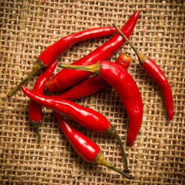 Kırmızı Pul Biber