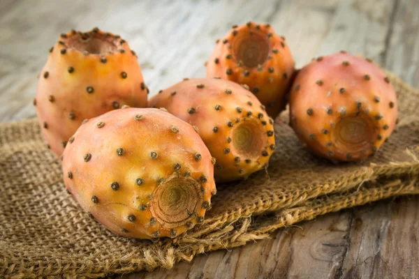 Friss Kaktuszfüge — Stock Fotó