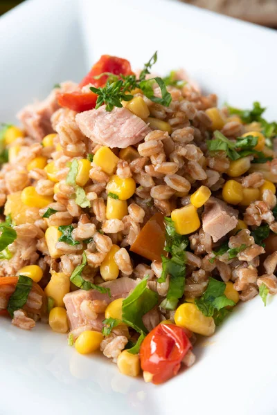 Schotel Van Heerlijke Speltsalade Met Tonijn Groenten — Stockfoto