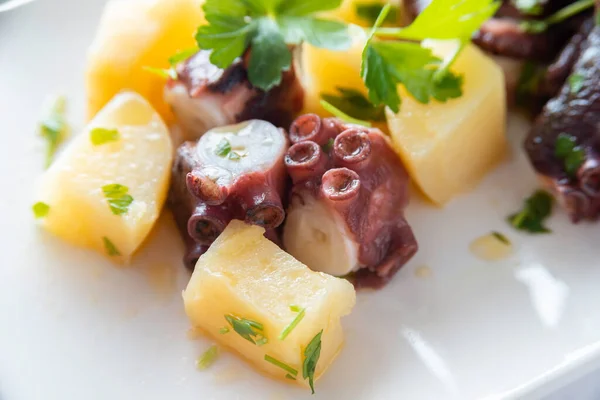 Food Close Delicious Squid Dish — Stock Photo, Image