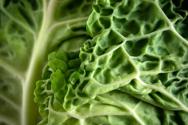 Green Grocery Savoy Cabbage — Stock Photo, Image