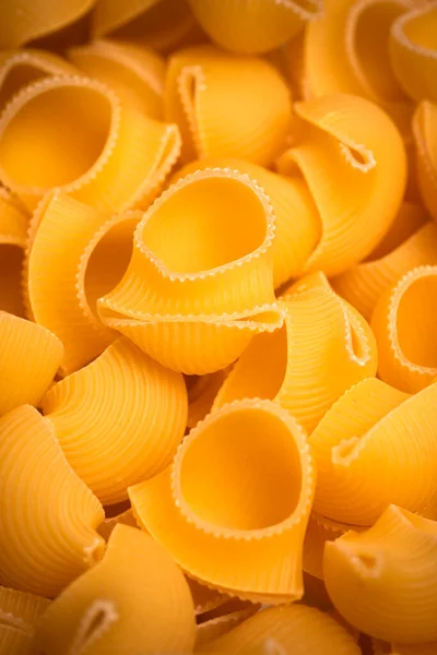 Raw Lumache Typical Italian Pasta — Stock Photo, Image