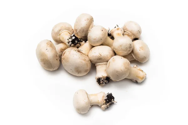 Champignons freschi — Foto Stock