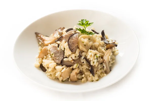 Mantarlı Risotto — Stok fotoğraf