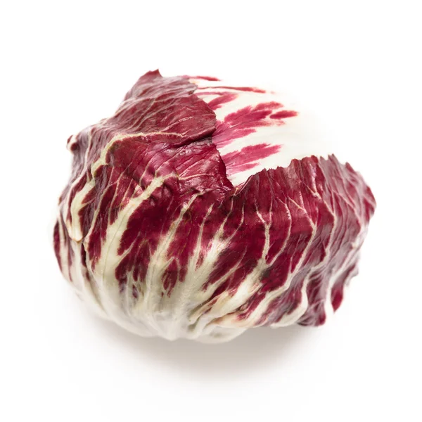 Radicchio — 스톡 사진