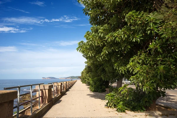 Alghero, sardinien — Stockfoto