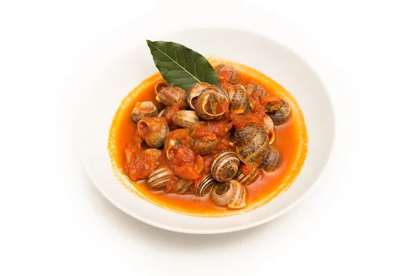 Snails with tomato sauce — Stock Photo, Image