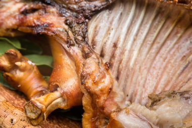 kavrulmuş domuz eti