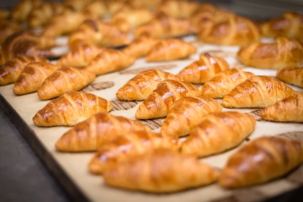 Freshly baked croissants — Stock Photo, Image