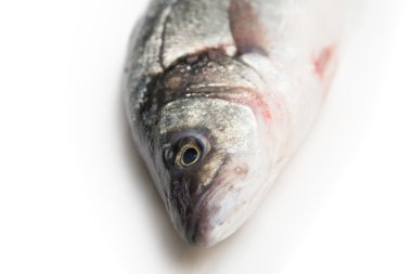 beyaz üzerine çiğ balık