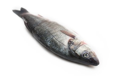 beyaz üzerine çiğ balık